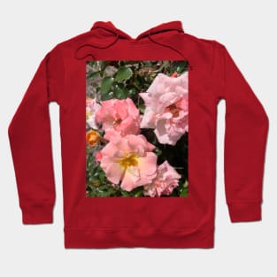 Roses Hoodie